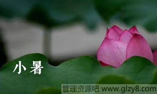 小暑大暑上蒸下煮的意思