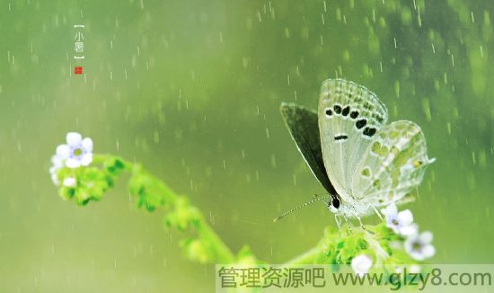 С䴫˵