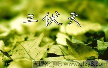 今年三伏天从什么时候开始