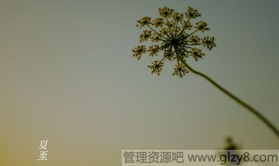 2015622ʲô
