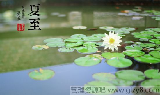 夏至节气各地有什么习俗