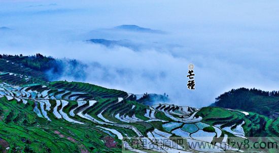 2015年6月6日是什么节日