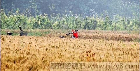 芒种期间天气怎么样