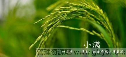 小满是什么节气