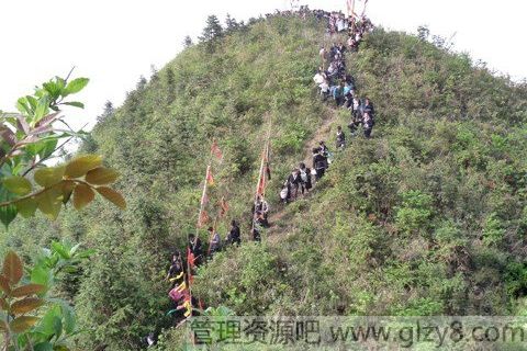 谷雨习俗：苗族“爬坡节”