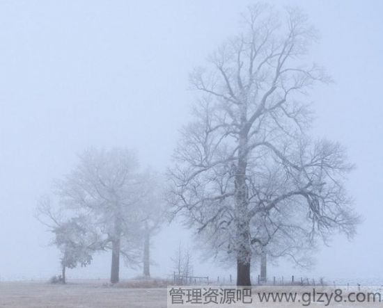 霜降节气的各种习俗