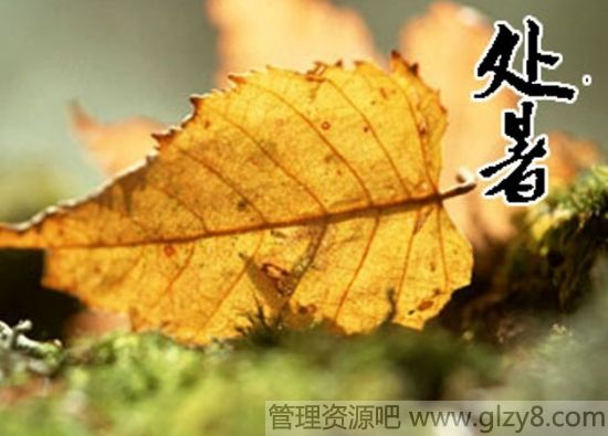 2014年8月23日是什么节日