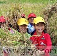 10月16日是什么节日-世界粮食日，世界脊椎日