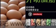 10月16日是什么节日-世界粮食日，世界脊椎日