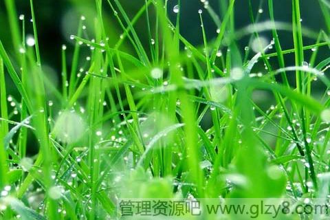 雨水节气春雨会贵如油吗？