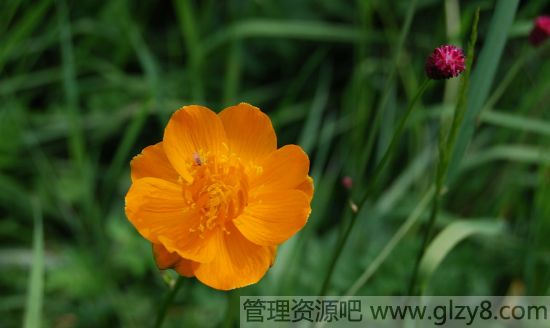 雨水节气的来历