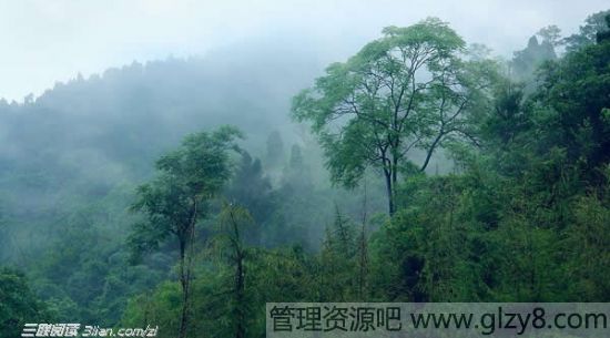 重阳节传说故事：桓景斗瘟魔