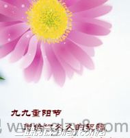 重阳节介绍