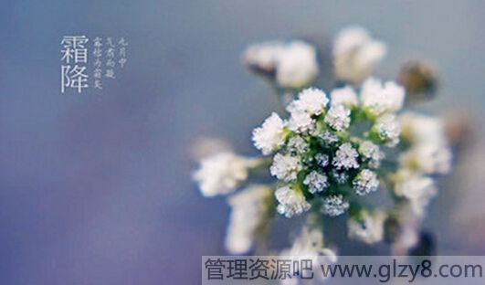 ˪עũ仯