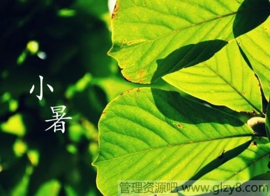СʱƻҪע຦