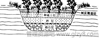 2015年高考新课标全国卷I文综试题