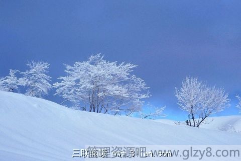 冬天的雪