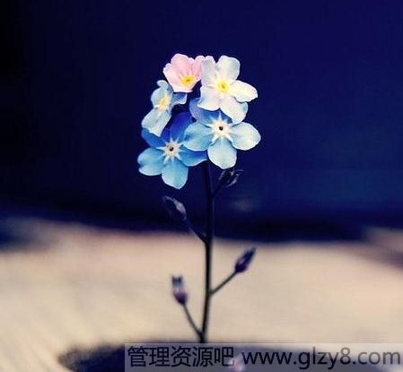 ԰еʧľ