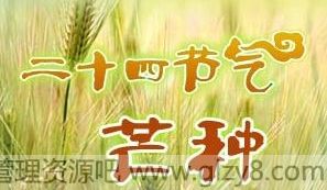 关于芒种节气的谚语（精选）