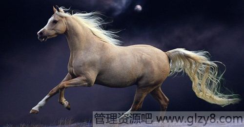 2014괺ҵȫ