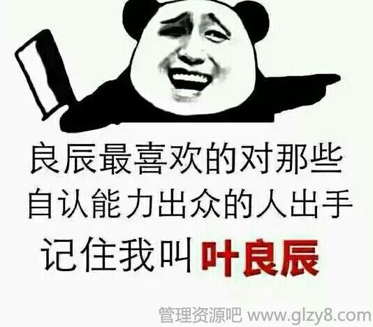 叶良辰是什么意思