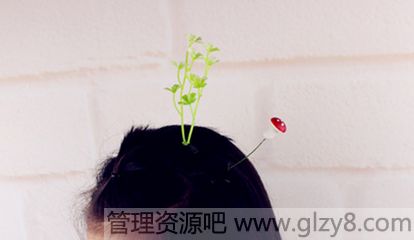 头顶嫩芽是什么意思