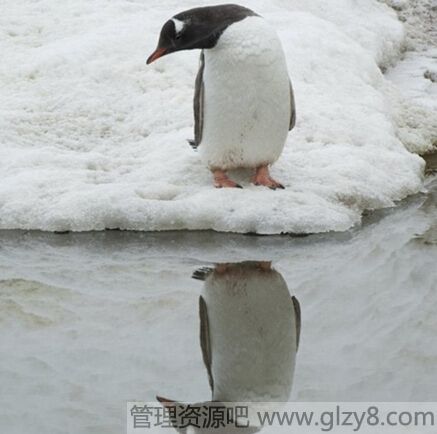 自信与自恋有什么区别