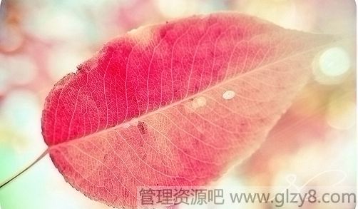 鲻ñ˵qqǩ