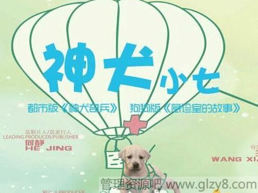 电视剧神犬小七什么时候播出，在哪台播出