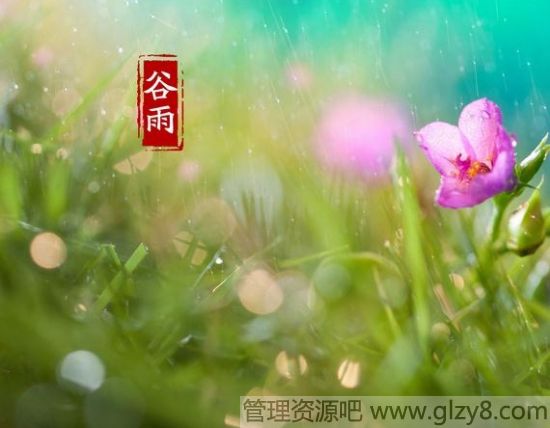 谷雨节气的天气