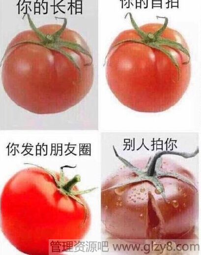 绿茶脸是什么意思