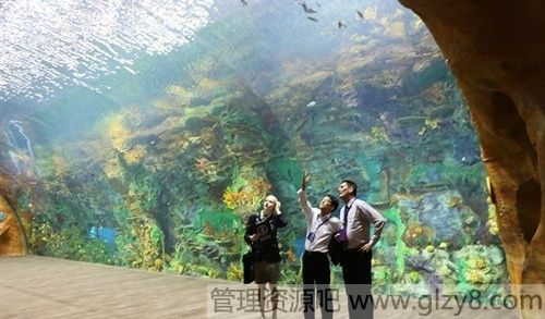 世界最大的水族馆