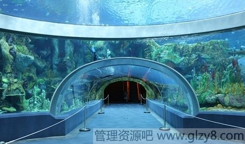 世界最大的水族馆