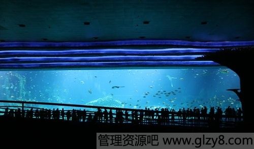 世界最大的水族馆