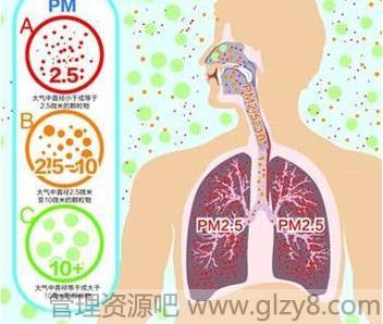 PM2.5到底是什么？进肺进血！