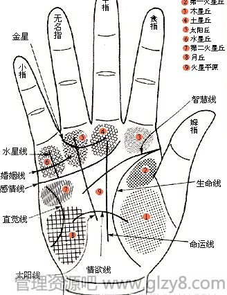 手相婚姻线图解：从手相婚姻线看姻缘