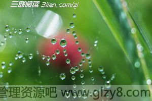 2012¶һ