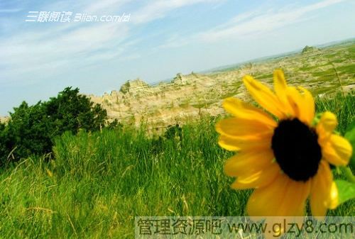 活的单纯而又美好