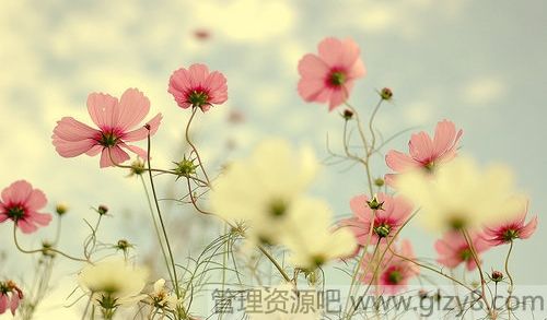 θ㶨