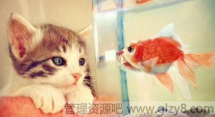 鲻Ҫǽ