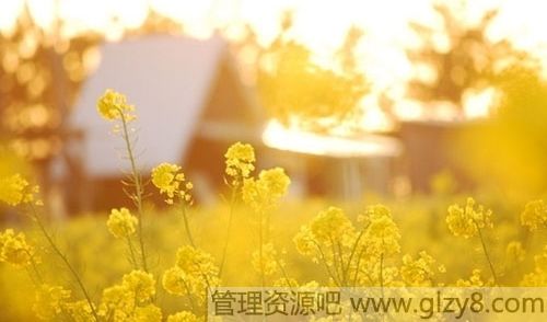 ֪֮22䶨ɣ