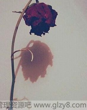 ô˵ʷ