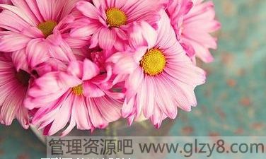 ˻ǣӵ