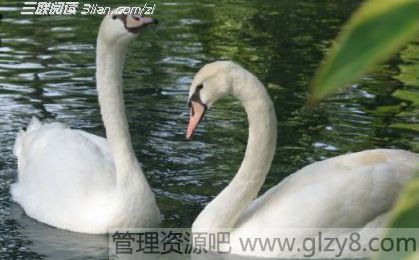 ְ飬Ů˲ȥ