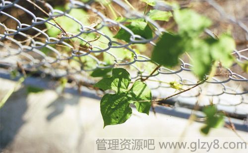 鲻ѷ