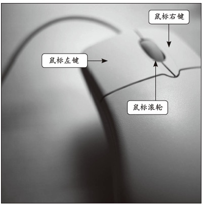 如何正确使用鼠标