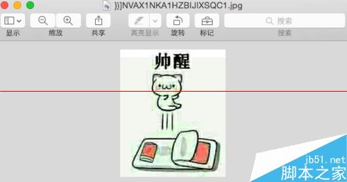 Mac中怎么给表情添加文字？