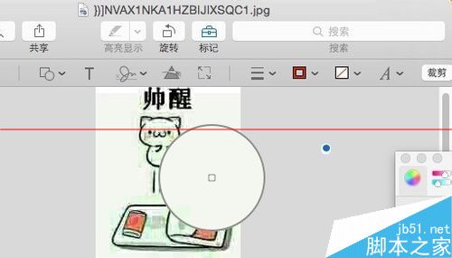 Mac中怎么给表情添加文字？