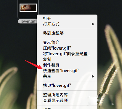 Mac系统怎么查看gif图片