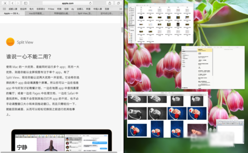 Mac分屏功能怎么用?